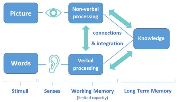 Dual coding - Kết hợp hình ảnh và ngôn ngữ